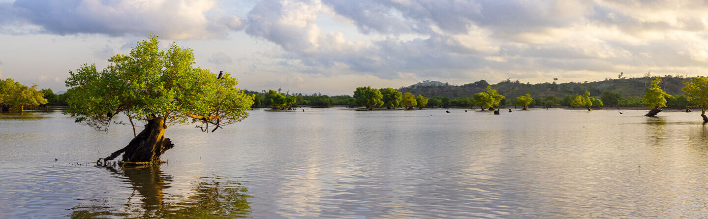 ส่วนบนสุดของเว็บไซต์